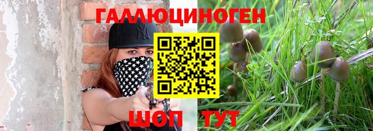 Галлюциногенные грибы Psilocybe  Вход с VPN  Псилоцибиновые грибы прущие грибы  Киселёвск 