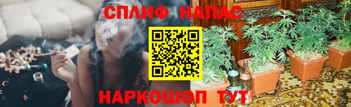 Киселёвск  Бошки Шишки ГИДРОПОН  Вход с VPN  Марихуана Ganja  Бошки Шишки планчик  Конопля семена 